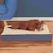Pet Adobe Pet Adobe Memory Orthopedic Foam Dog Bed- Sherpa Top and Removable Cover- 30x20.5x4, Gray 390553APC - alternate 5